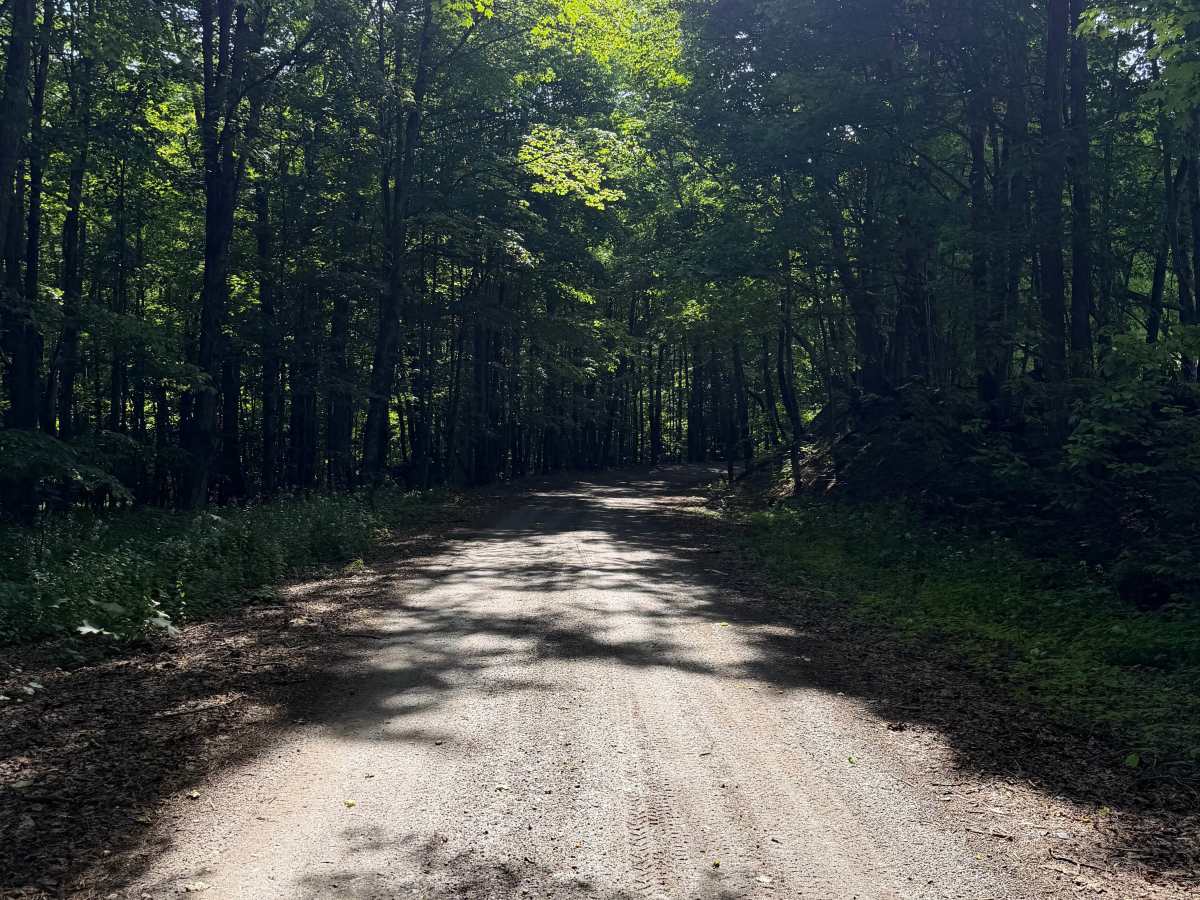 Morgan Gulf Road photo 3