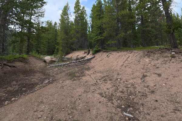 Pine Road - FS 264