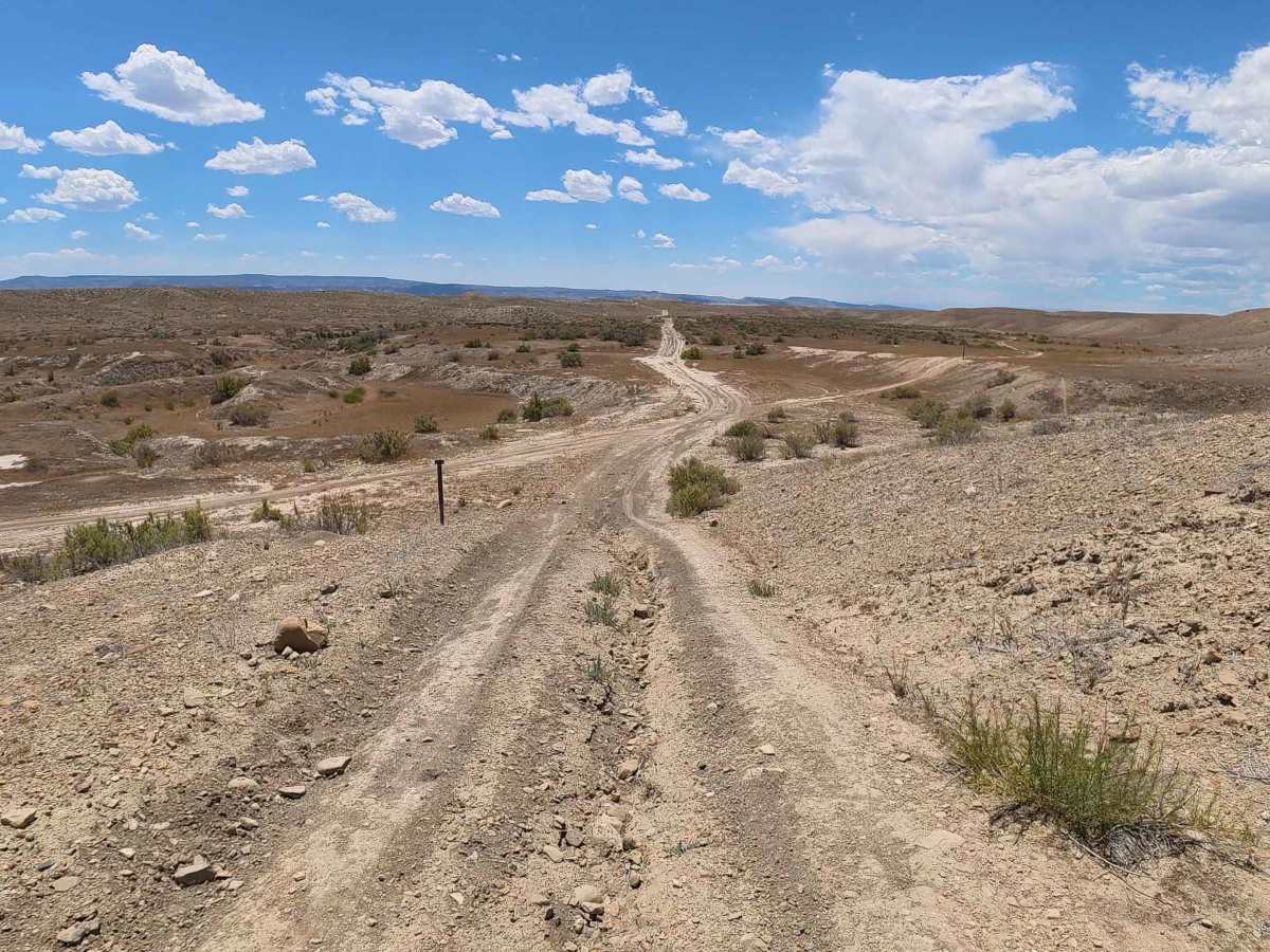 BLM 177 photo 2