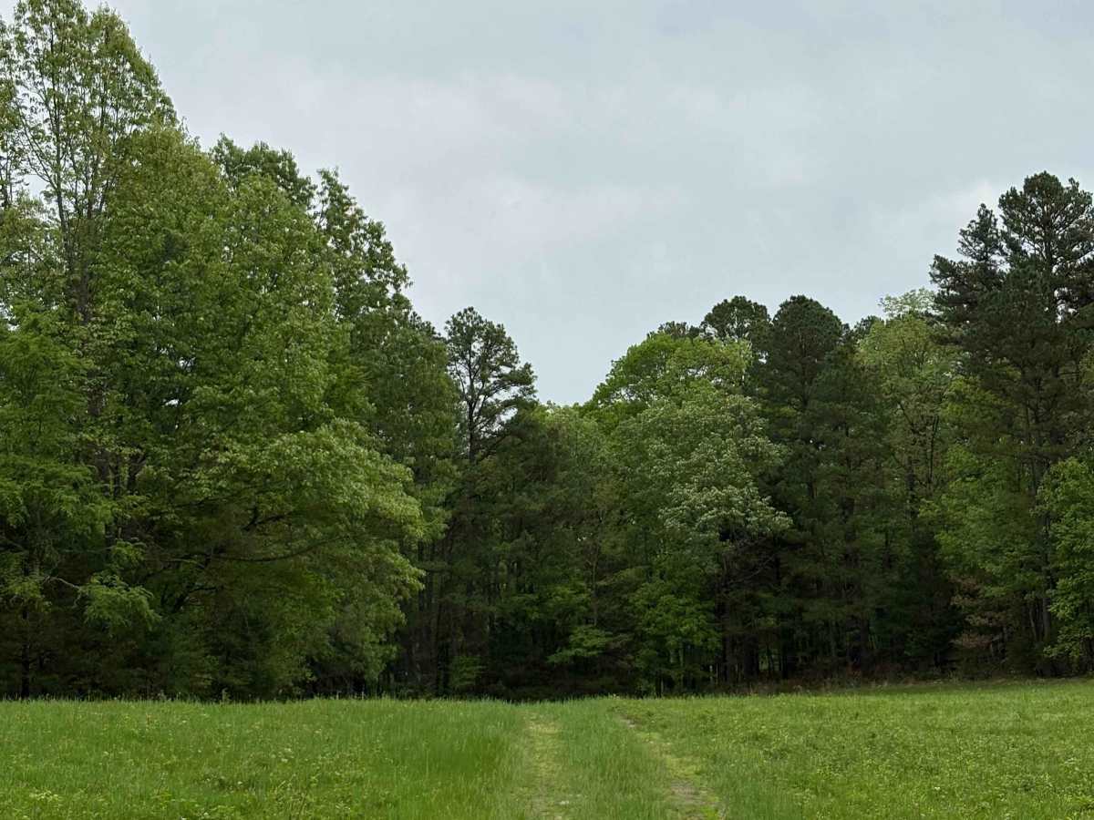 OHT Twin Creek  photo 6