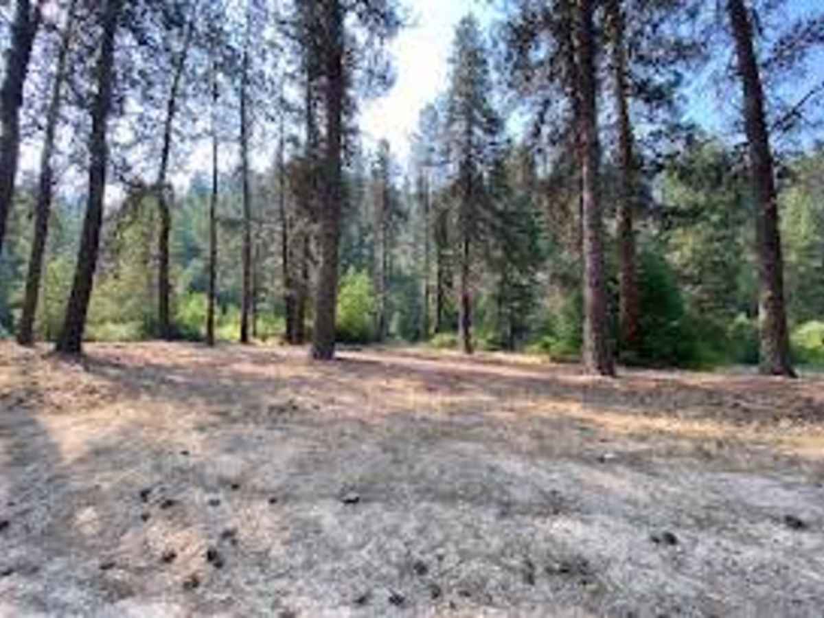 Thorn Creek Road photo 3