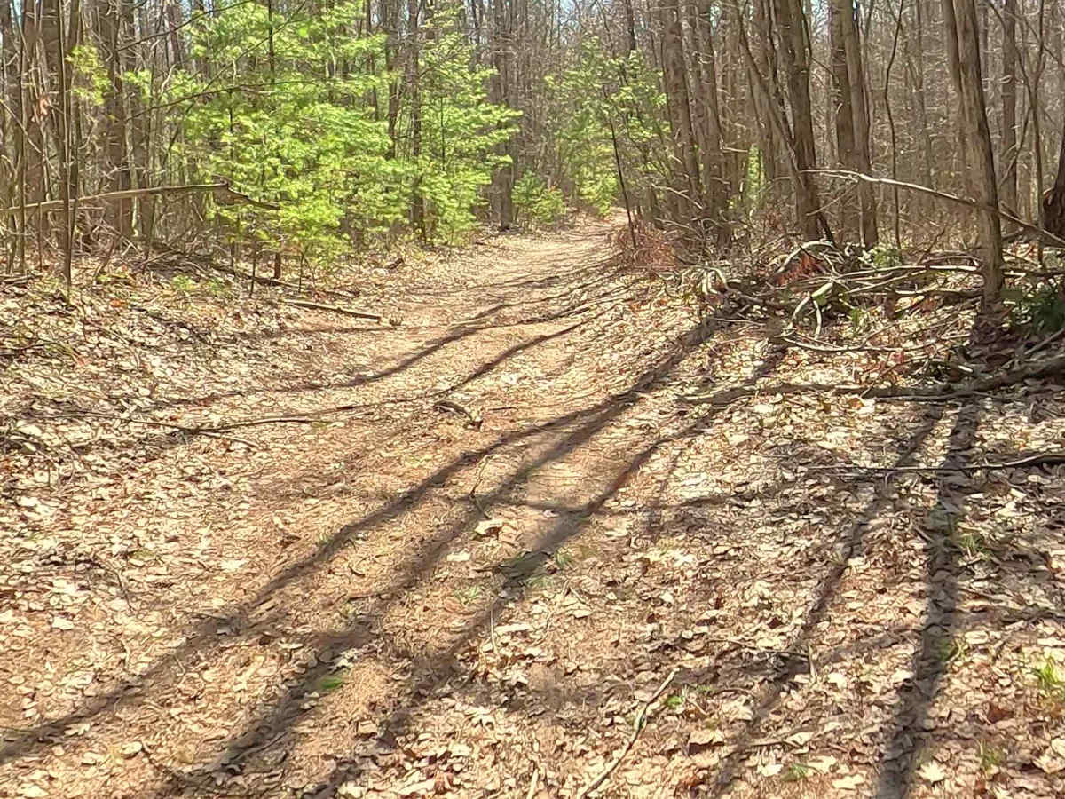 ORV H-57 : Mack- Maltby Hills Loop photo 5