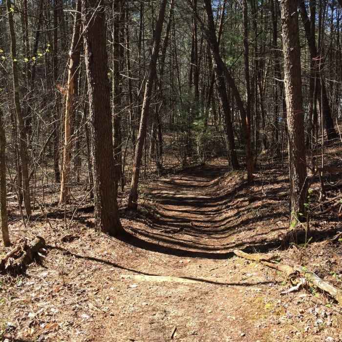 The Unicoi/Helen Trail is beautifully built. Near Helen Trail