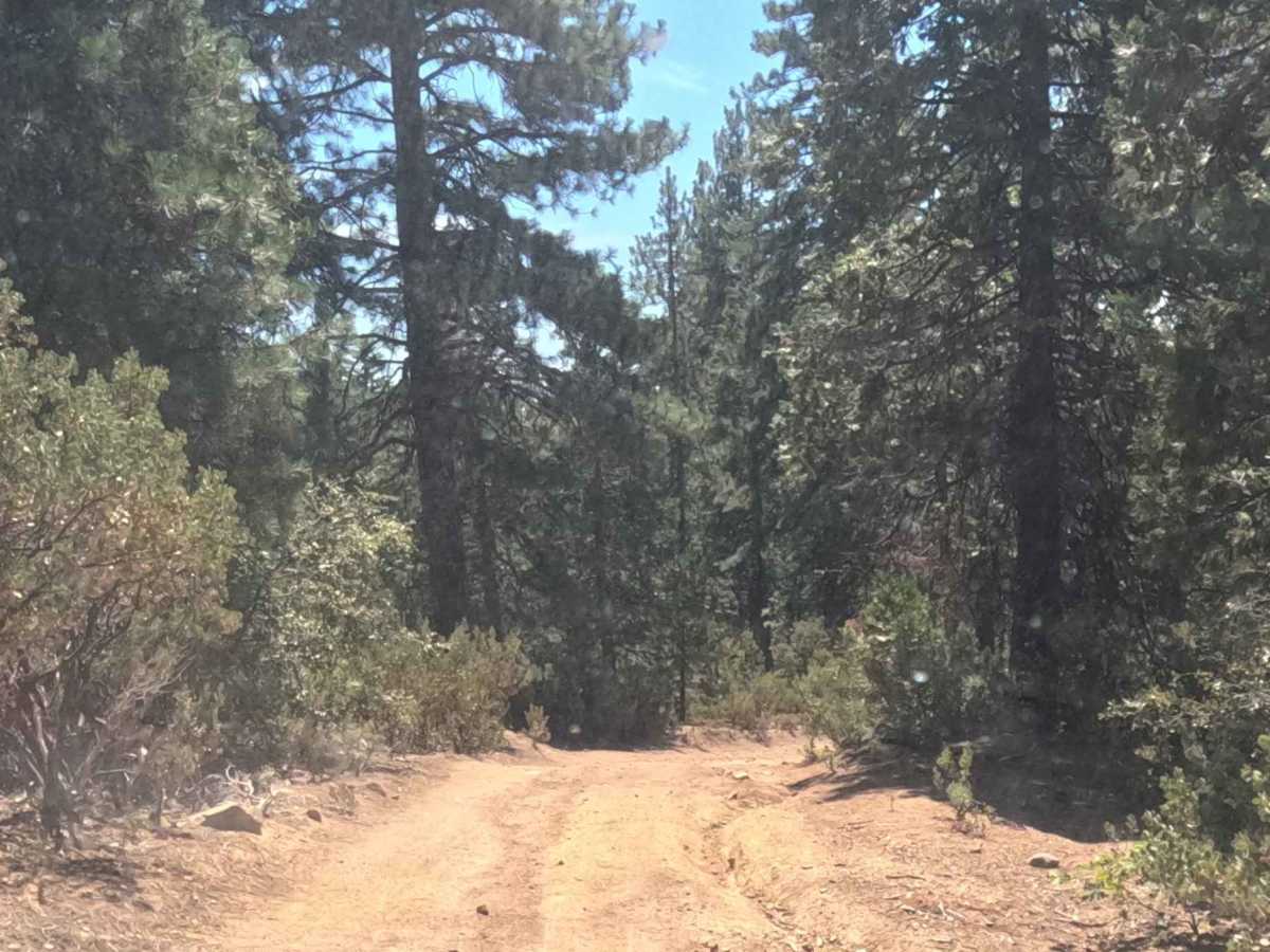 Ten Mile Spur - FS 5S062 photo 6
