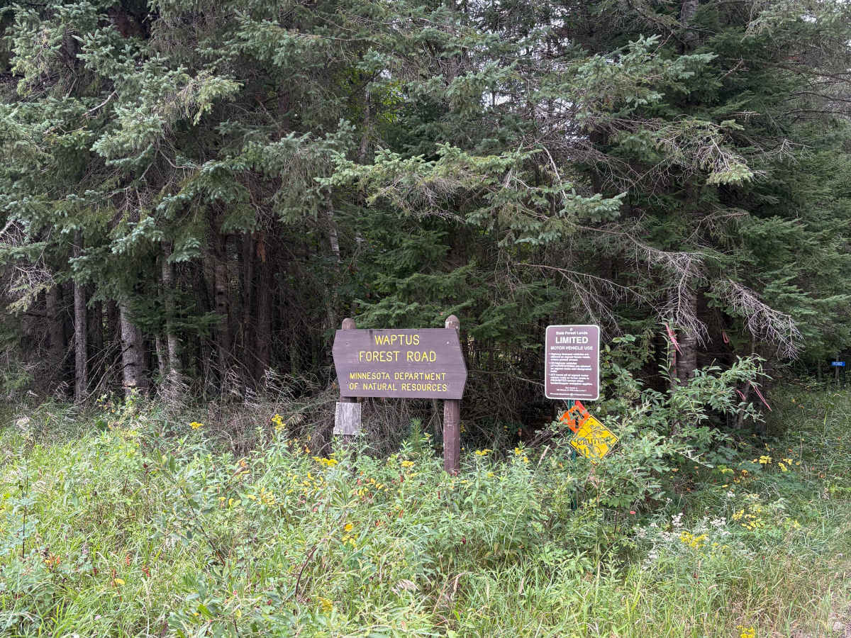 Waptus Forest Road trail photo