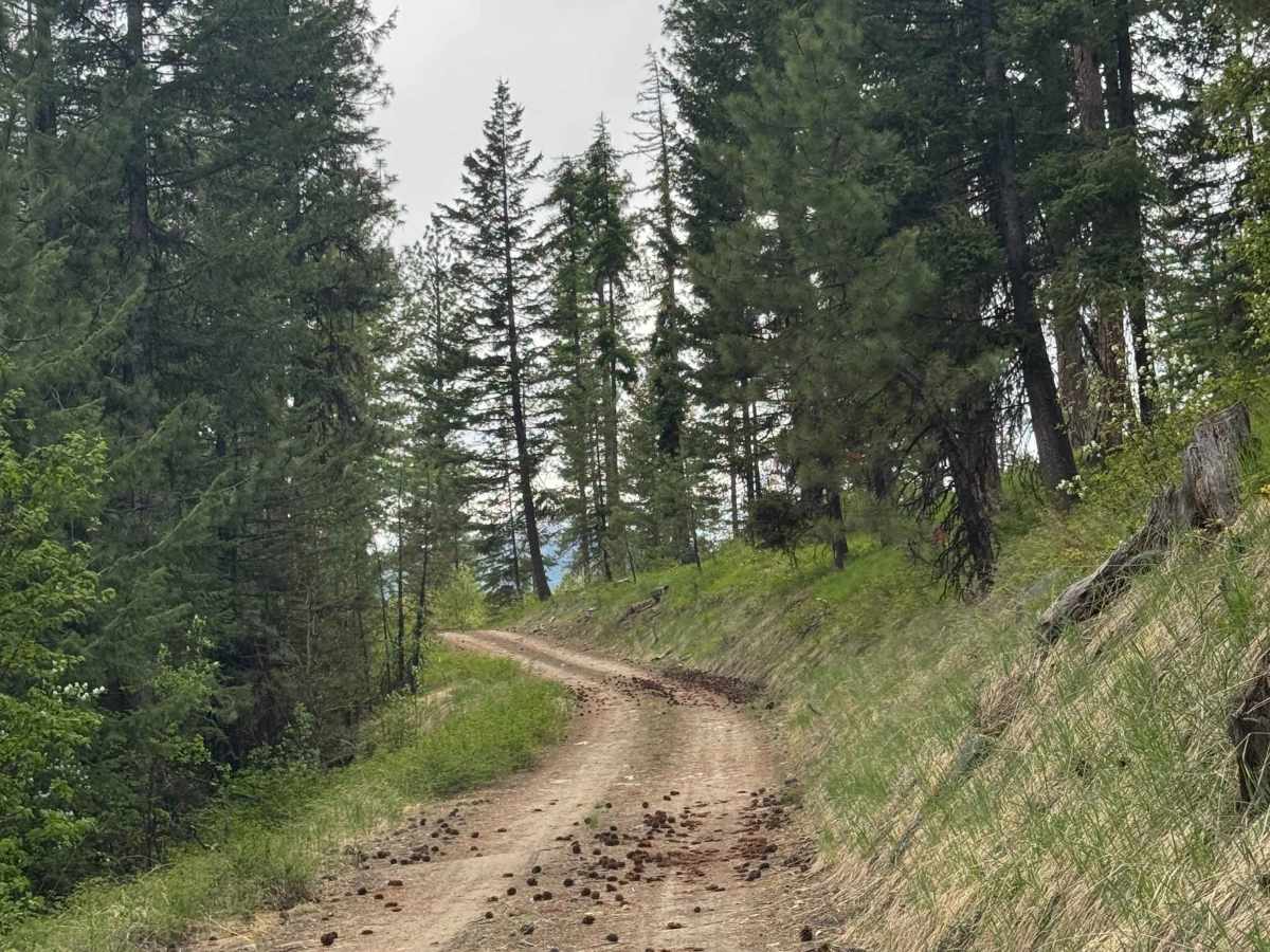 Graves Mountain Road photo 6