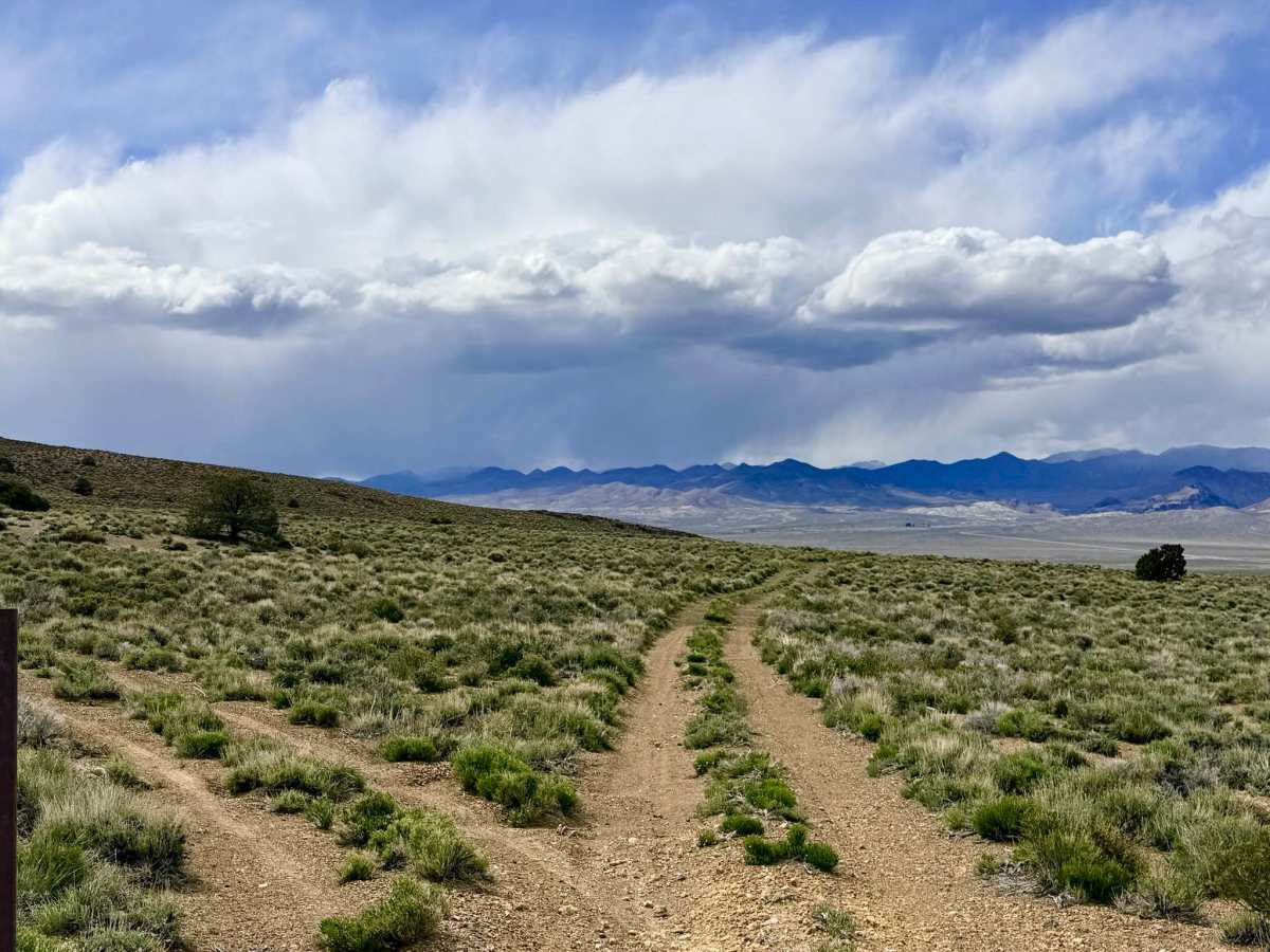Transmission Line Tie Road - FS 44526C trail photo