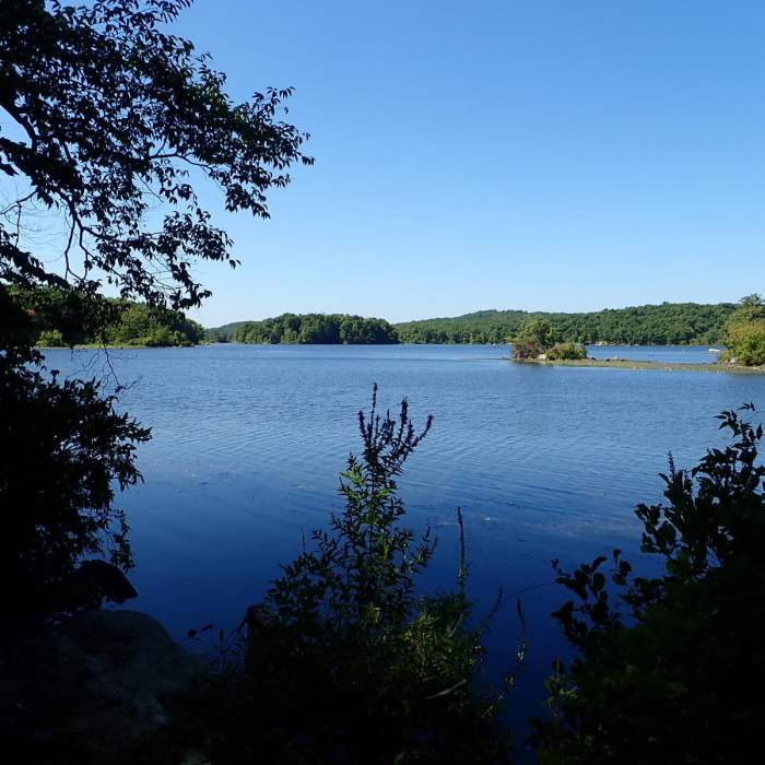 Near Wawayanda Lake Loop