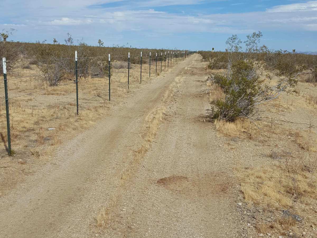 Boundary Baja photo 2