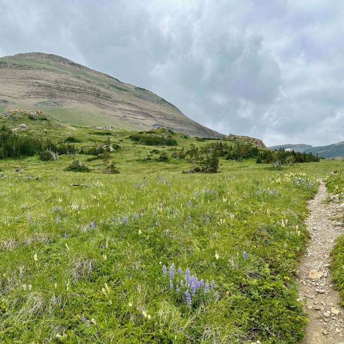Near Continental Divide Trail: Montana-Idaho Section 27