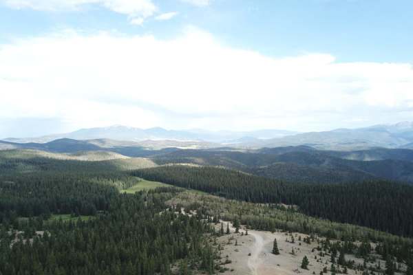 Sawmill Greenie