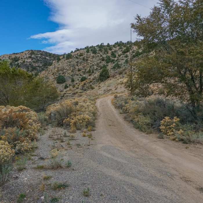 Near Whorehouse Hill Loop