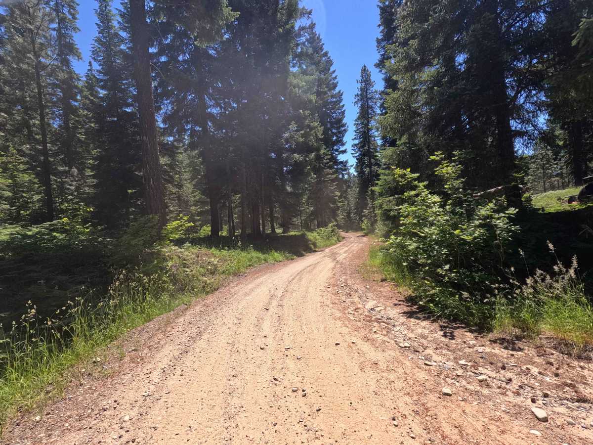 Corral Creek - FS 4305 photo 3
