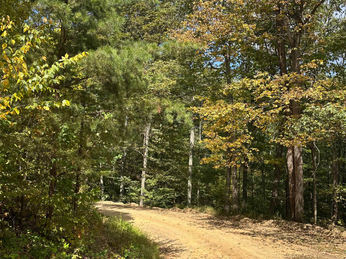 Perrin Road  trail photo