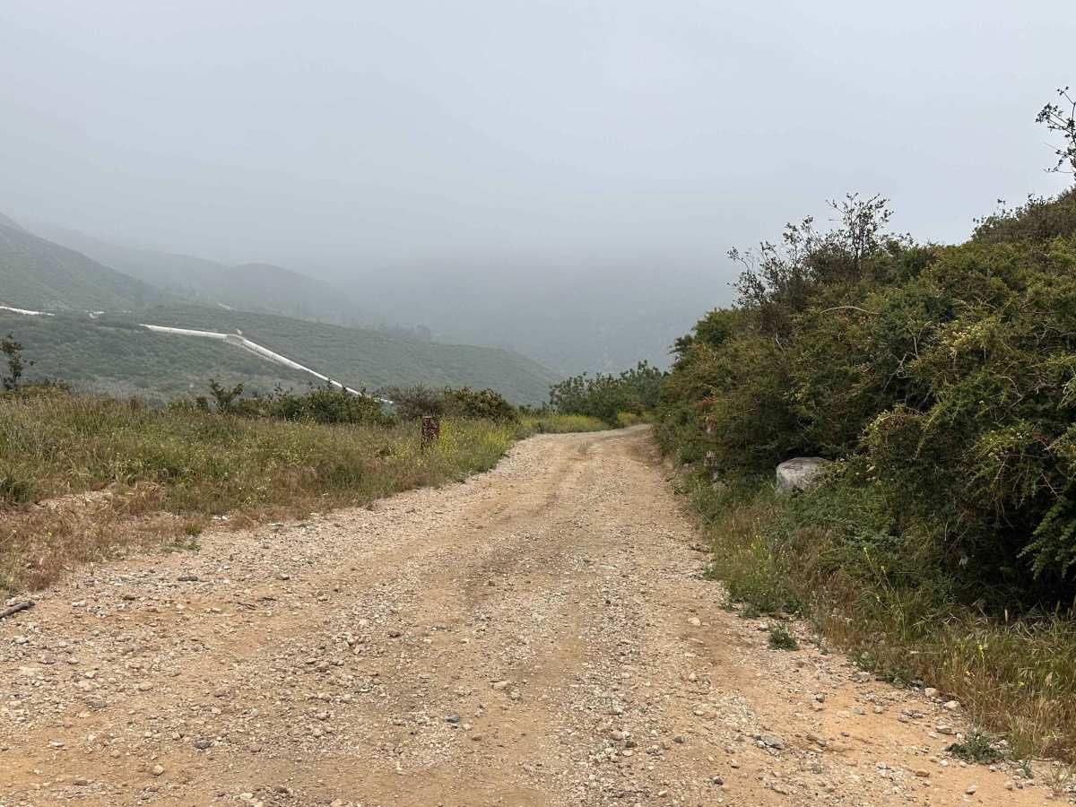 Dusty Spur trail photo