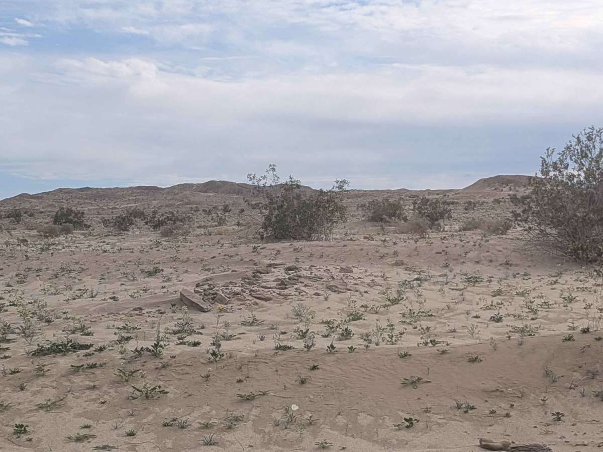 BLM 176 photo 2