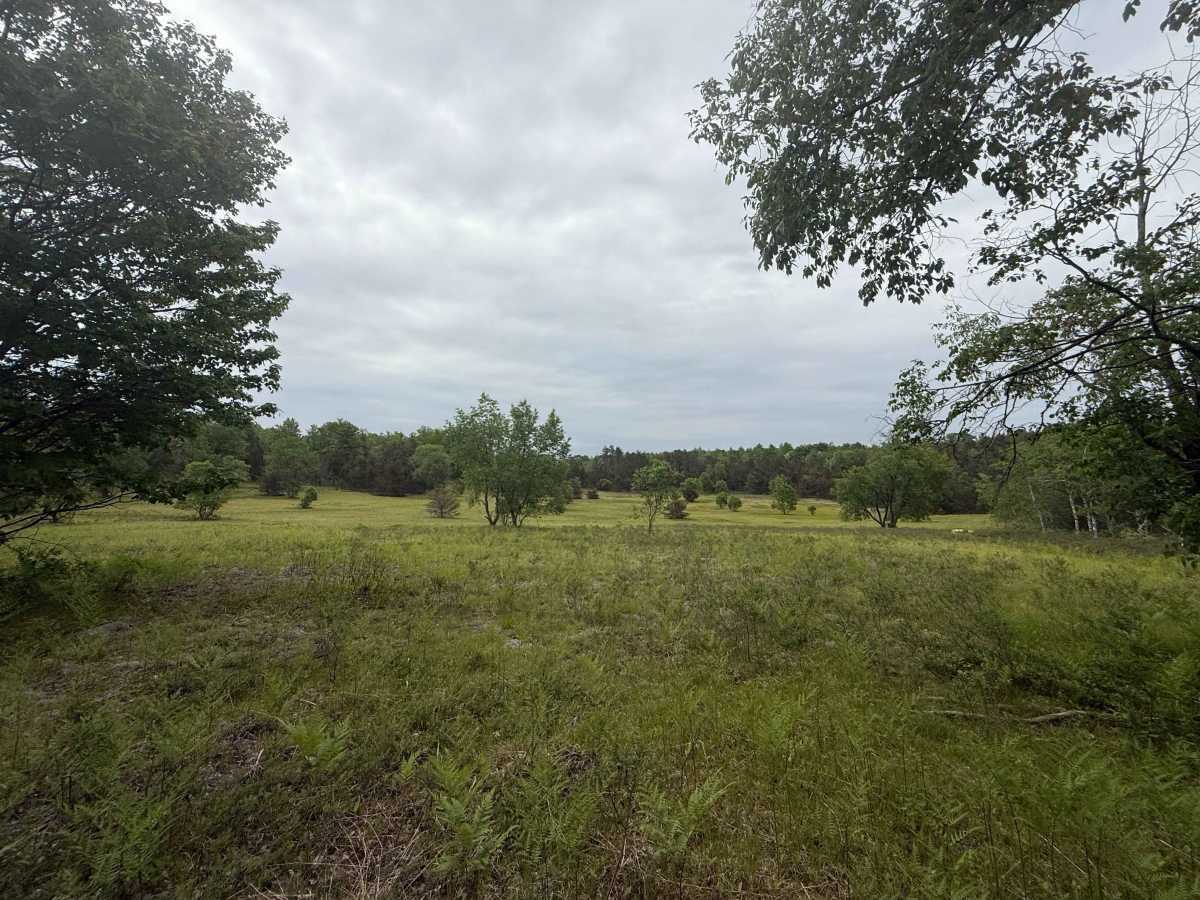 Smith Lake Trail photo 6
