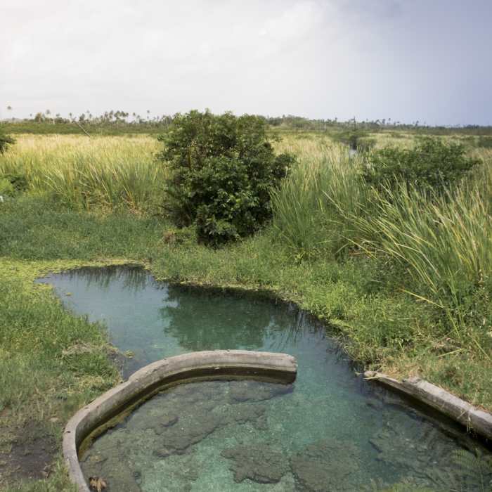 Near Manantial Ojo de Agua