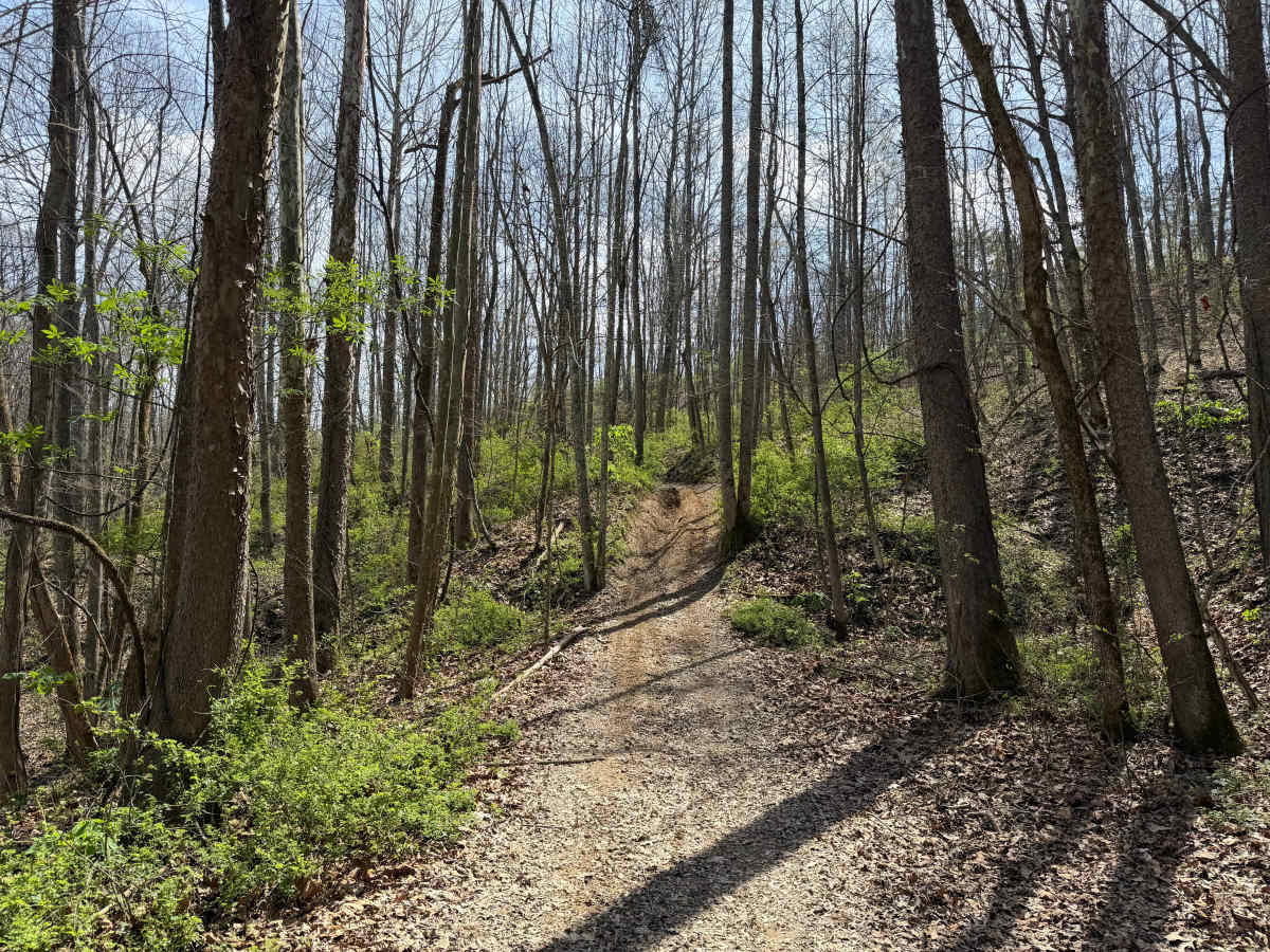 Bear Top Loop photo 5