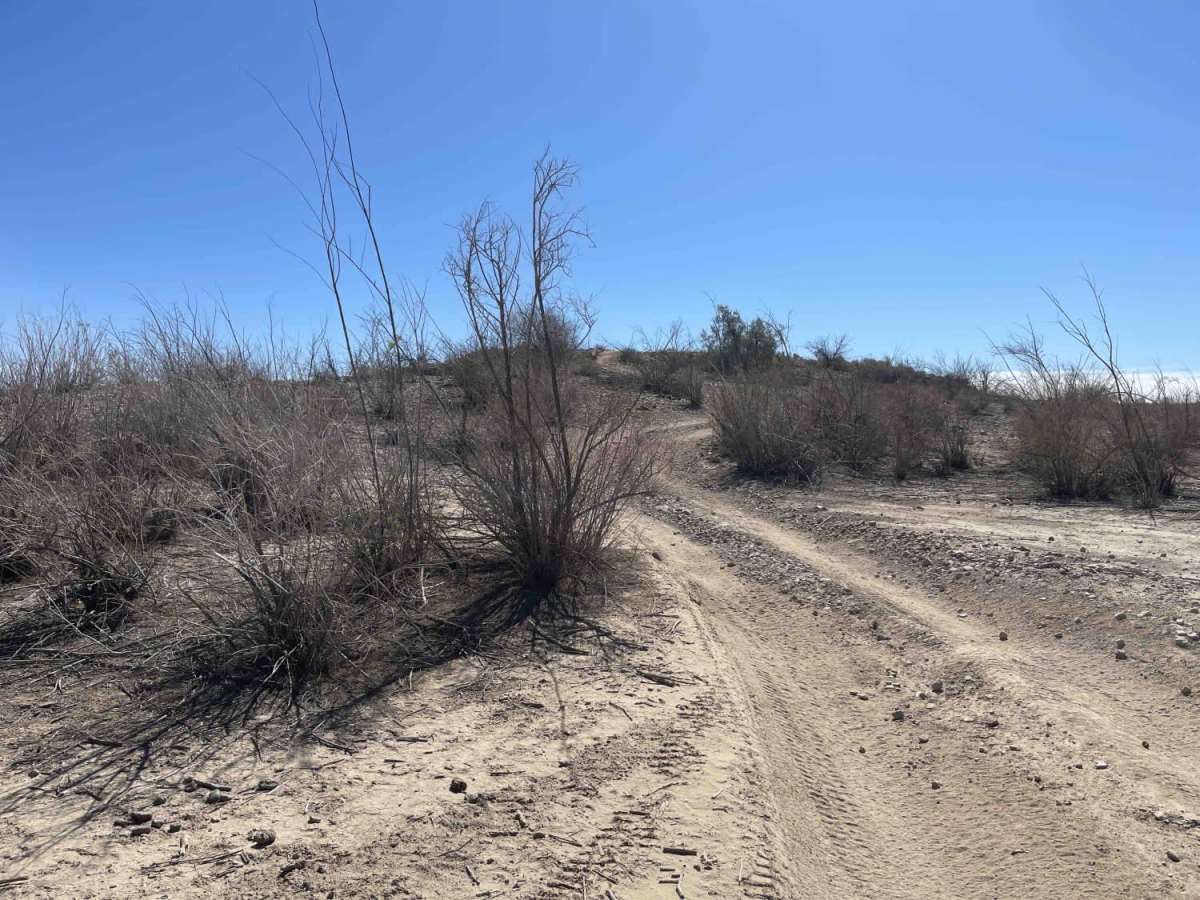 Southern Silt Bed/Muddy Bypass photo 6
