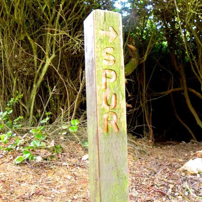 Near Trinidad Head Loop