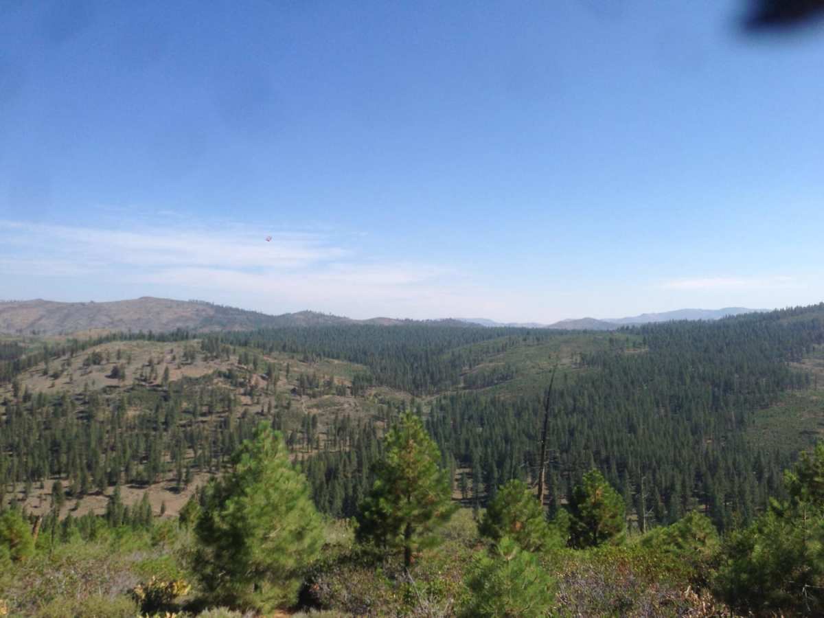 Bear Valley Loop Trail photo 5