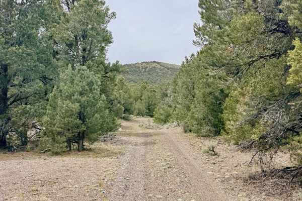 Trail Canyon Spur - FS 43312A