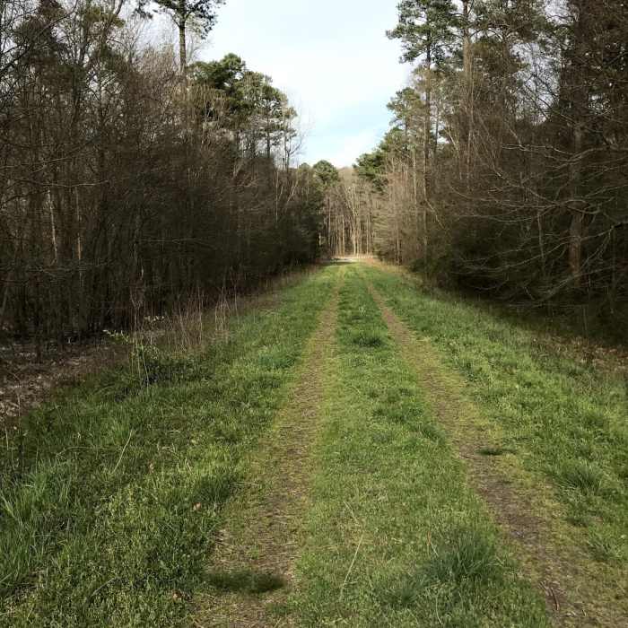 Near Little Creek Perimeter Trail