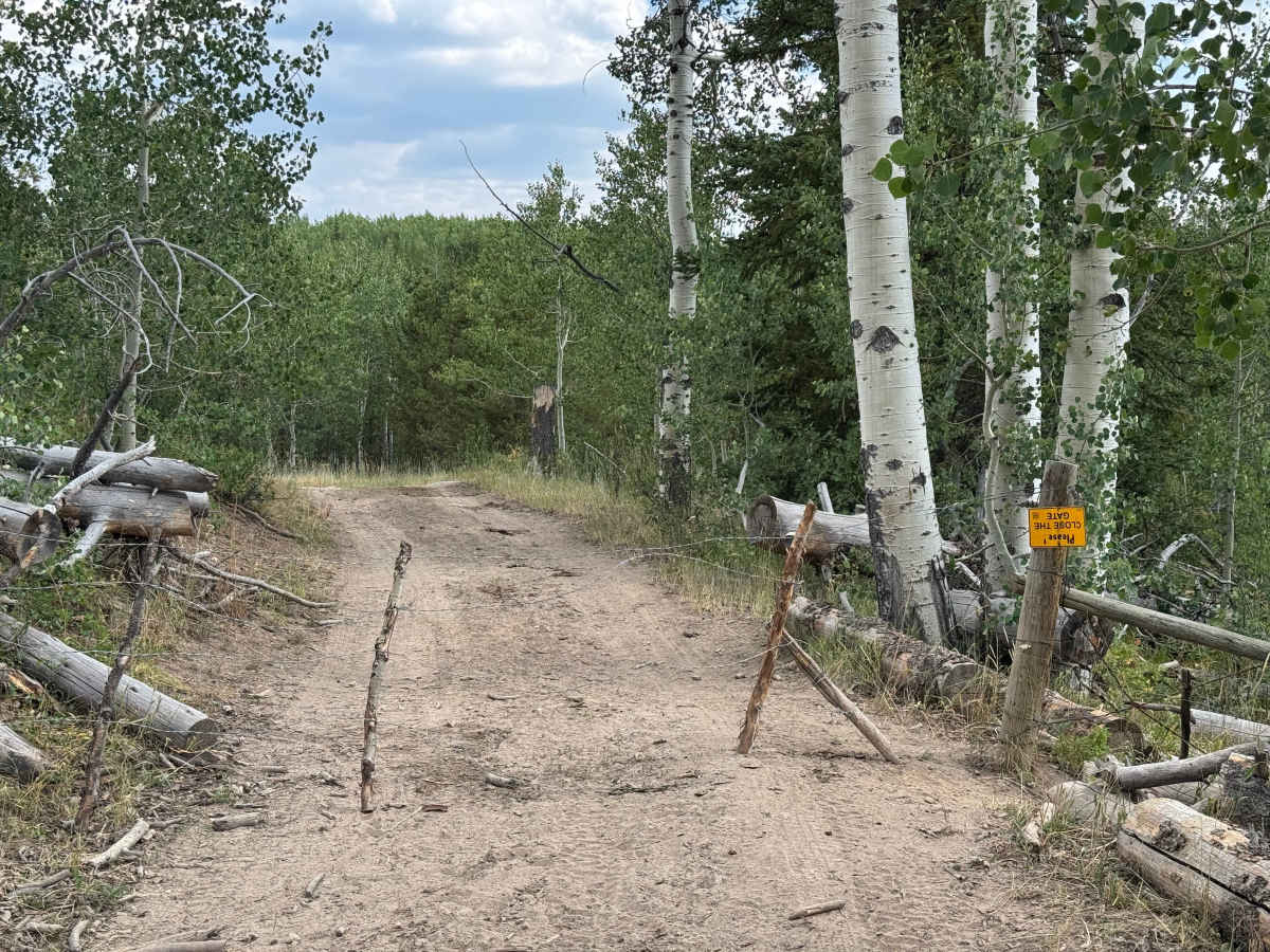 Long Draw Road photo 3