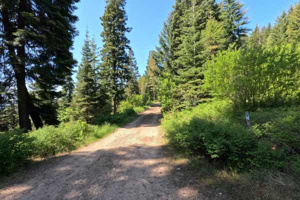 Highline - Trail 203