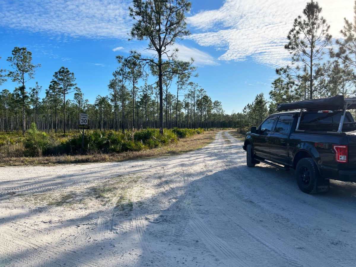 Danny Hole at Tiger Bay State Forest photo 6