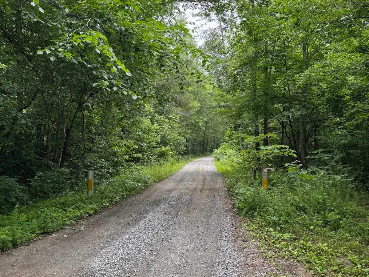 North Creek trail photo