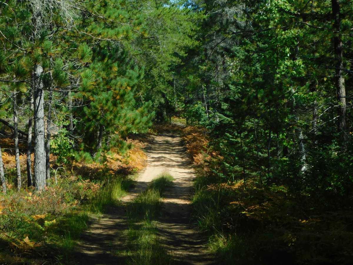 Culhane Grade Trail photo 2