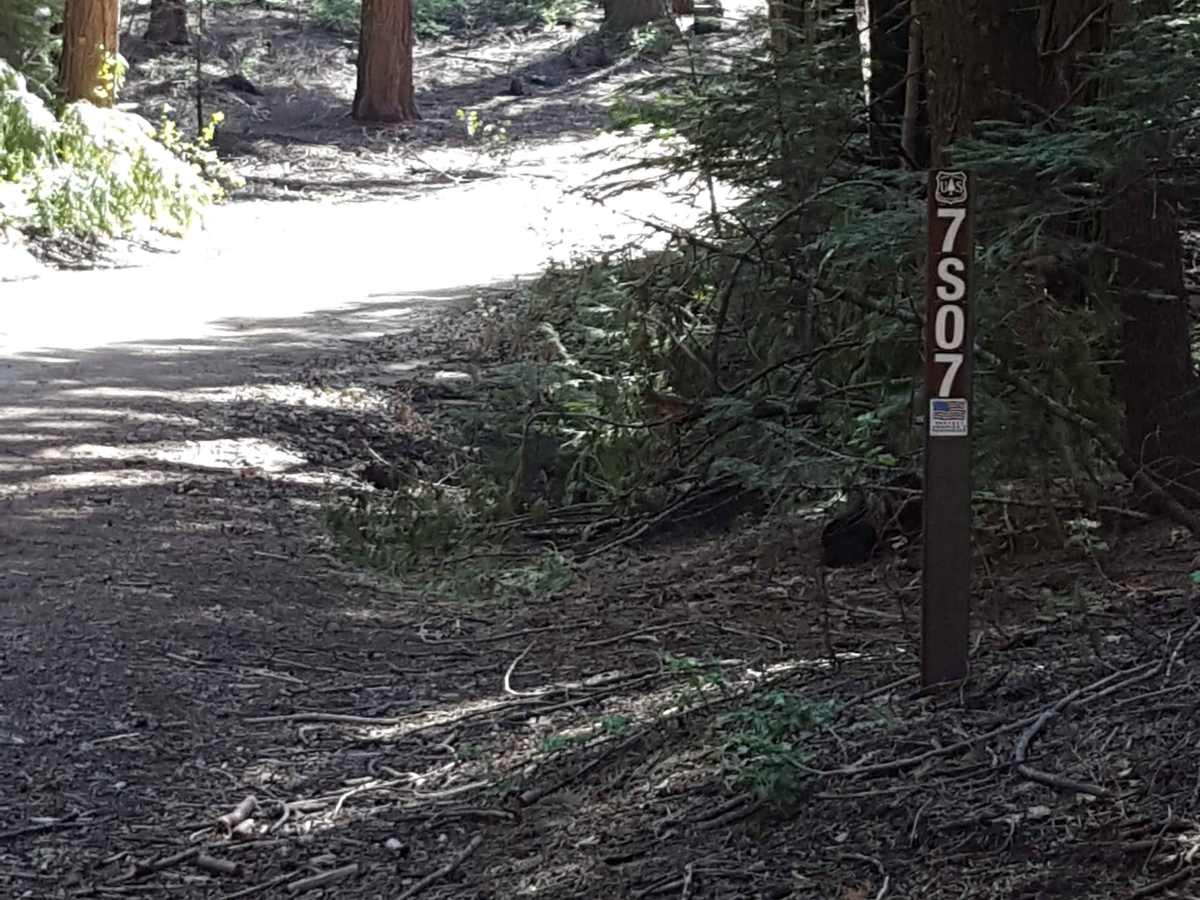 Fish Creek West - FS 7S007 trail photo
