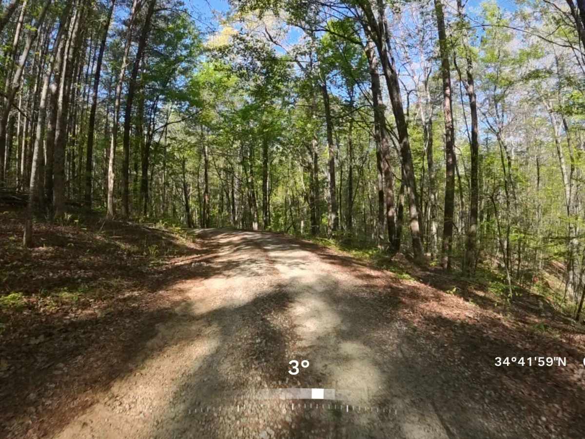 Forest Road 752B photo 2