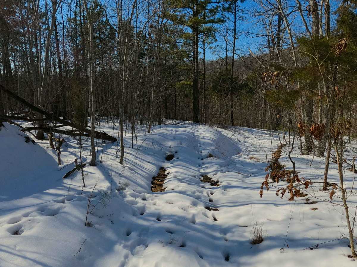Sutton Bluff ATV 7 North - SB 7 photo 5
