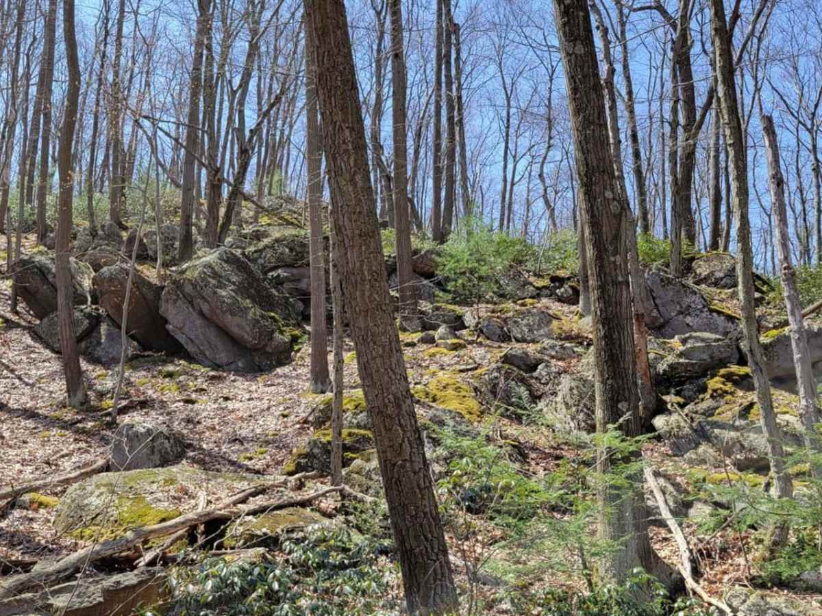 Spectacle Gap photo 3