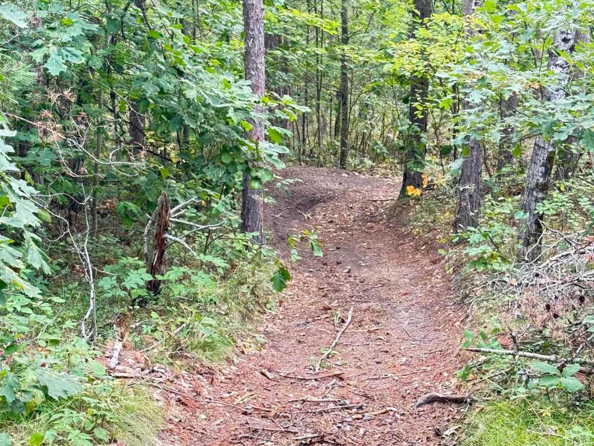 Atlanta South  photo 2