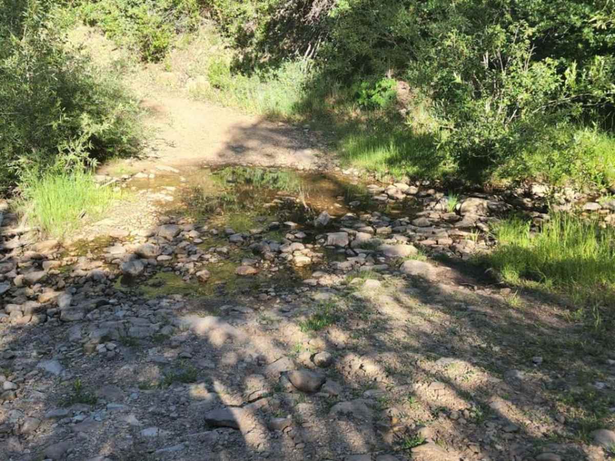 Railroad Grade photo 2