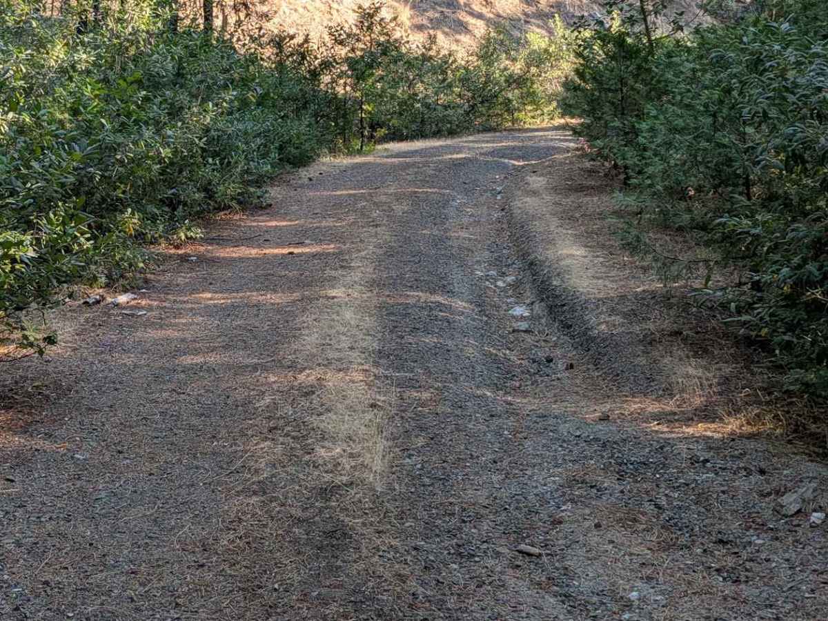 Round Knob Road - FS 5N27 photo 3