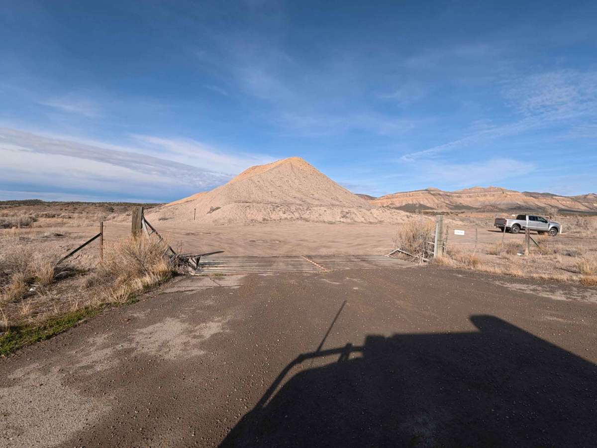 BLM 132 photo 2