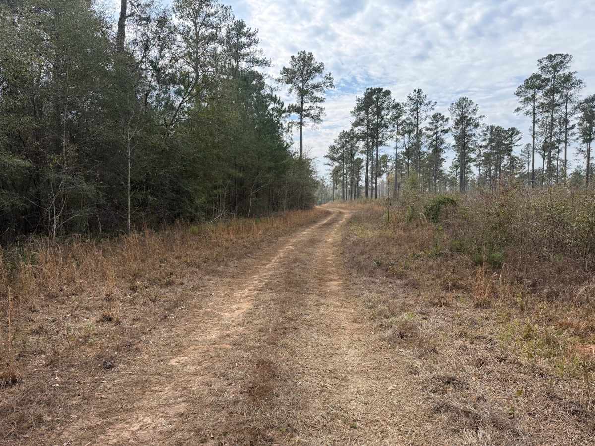 Grid Loop Road photo 6