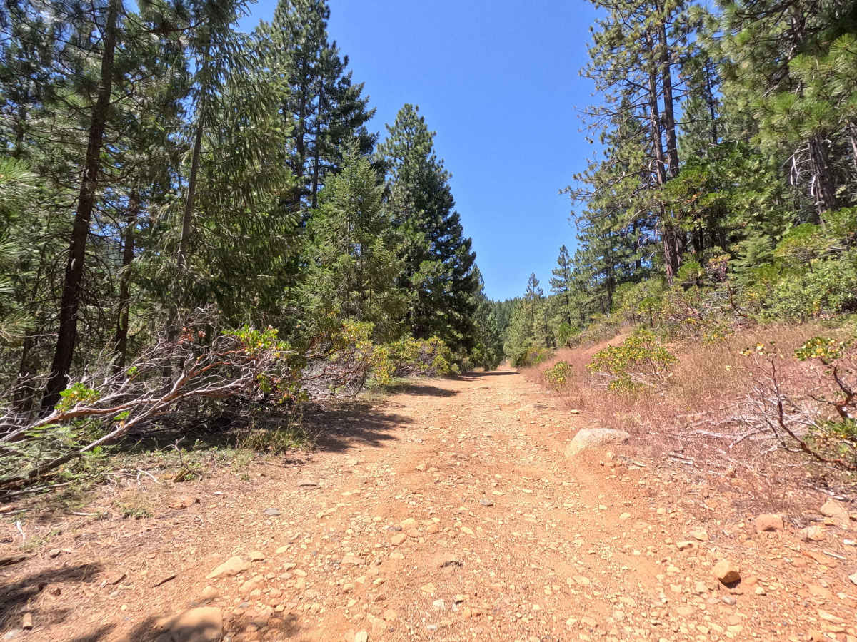 Ney Springs - FS 39N34 photo 6