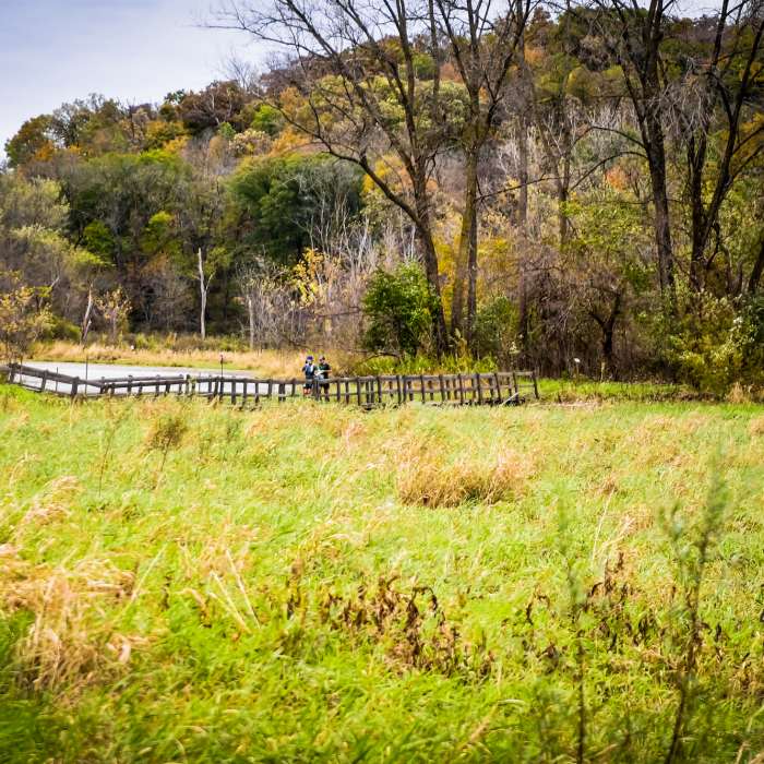 Runners crossing a bridge on the Sauk Fox trail during the 2018 Mines of Spain 100 Near Horsehoe Bluff Trail