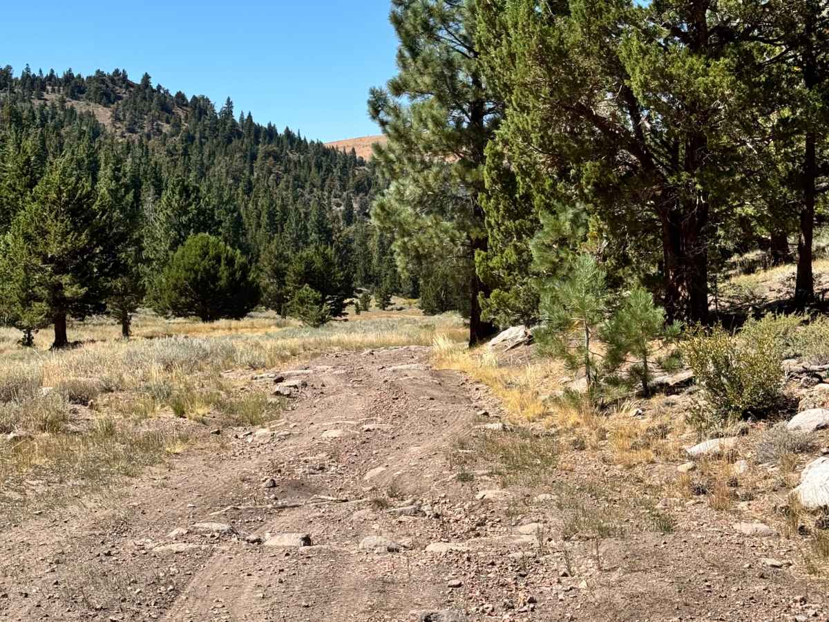 Loope Canyon Road - FS 31190 photo 2