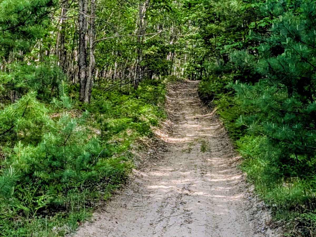 North Missaukee Route (Section 3) photo 5