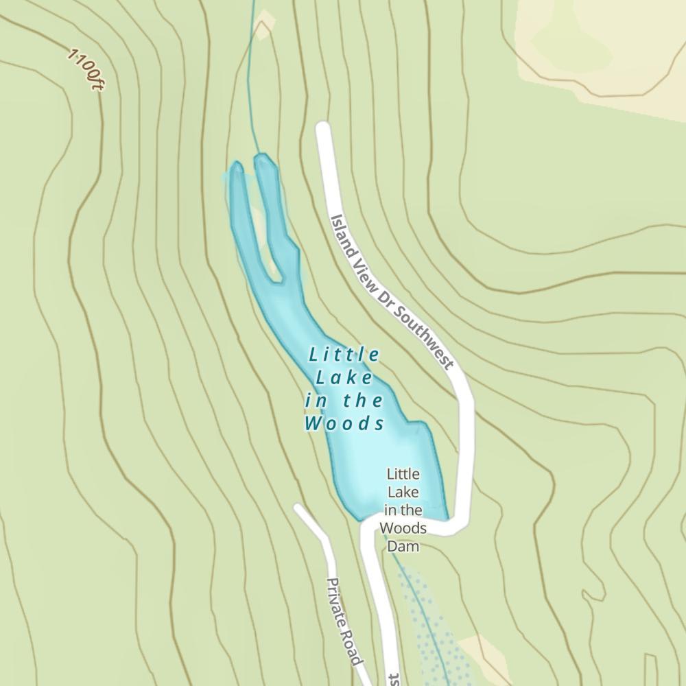 Little Lake in the Woods