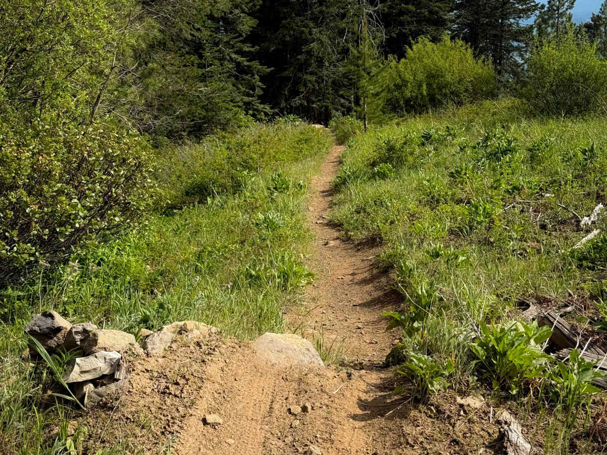 Ridgeline - Trail 320  photo 2