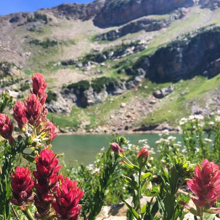 Near Devil's Castle/Sugarloaf via Cecret Lake