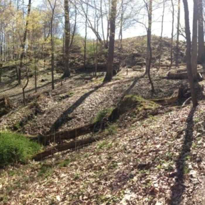 Near North Park Multi-Trail Circuit (Orange - Green - Red/Blue Blazes)